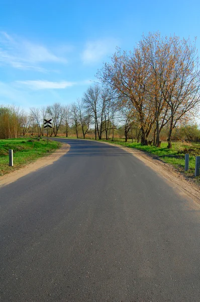 Road at the beginning of spring — Stock Photo, Image