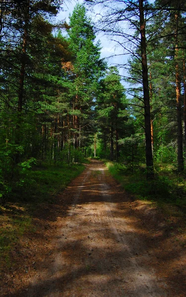 stock image Wood road