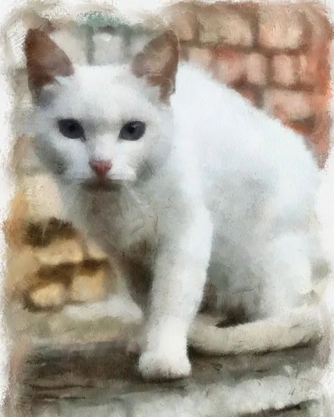 Білий кіт Ліцензійні Стокові Зображення