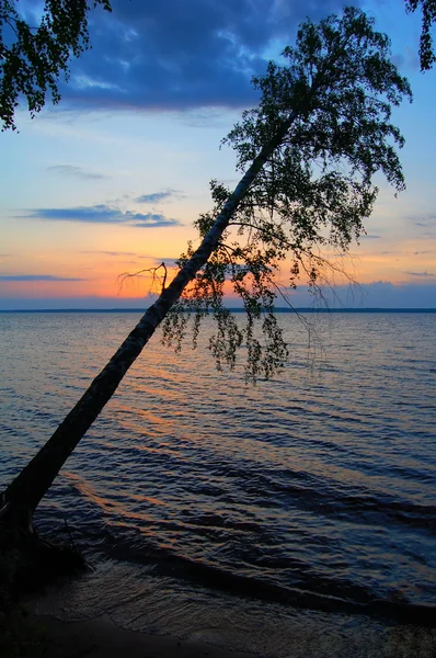 stock image Evening landscape