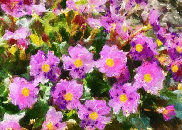 Illustratie, violette bloemen — Stockfoto