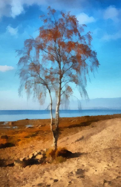 Illüstrasyon, huş ağacı, yatay — Stok fotoğraf
