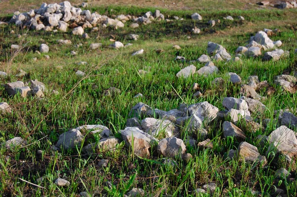 Pedras leves na grama verde — Fotografia de Stock