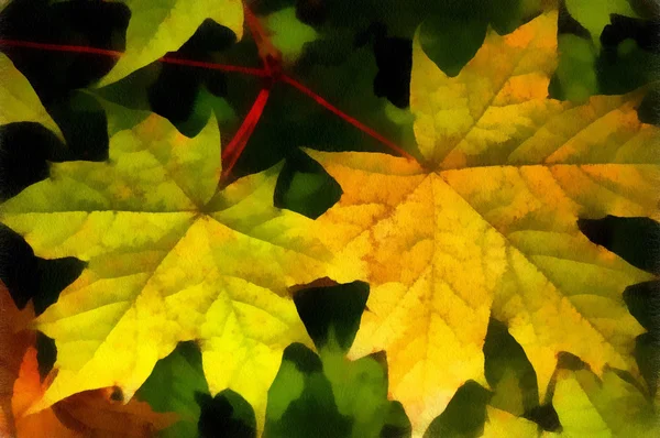 Illustration, maple leaves — Stock Photo, Image