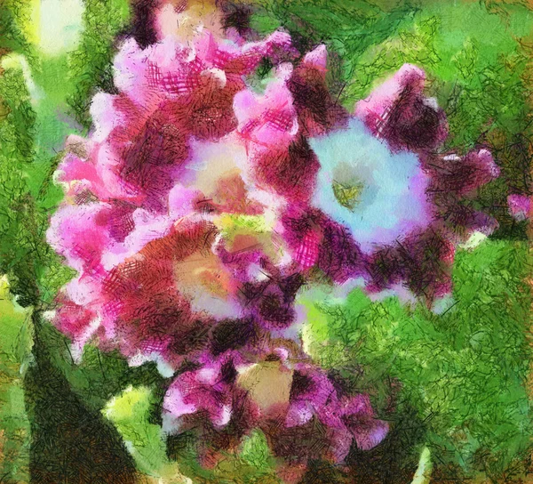Illüstrasyon, mor çiçekler — Stok fotoğraf