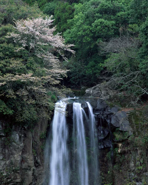 stock image Waterfall