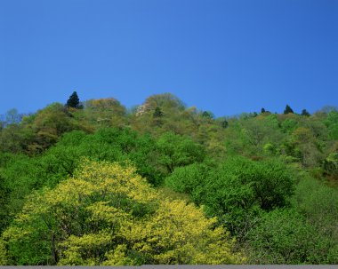 Güzel Manzara