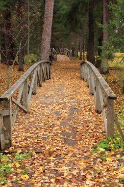 Wooden bridges in an autumn forest clipart