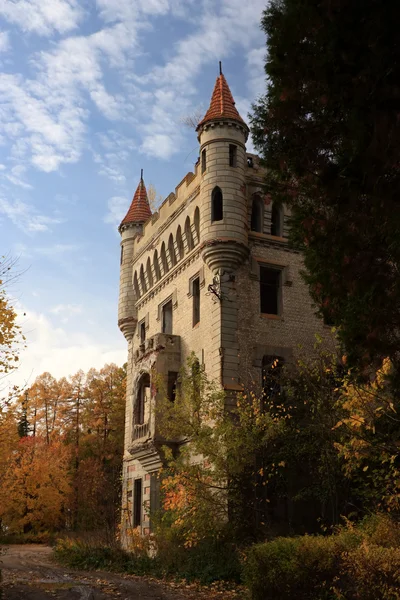 stock image The castle in Gothic style