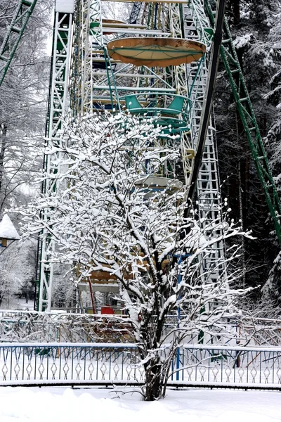 Snow-covered tree and ferris wheel — Stock Photo, Image