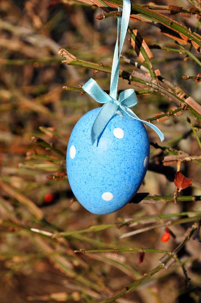 Blue easter egg in spring tree — Stock Photo, Image