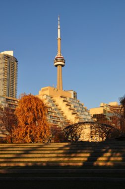 Toronto's park clipart