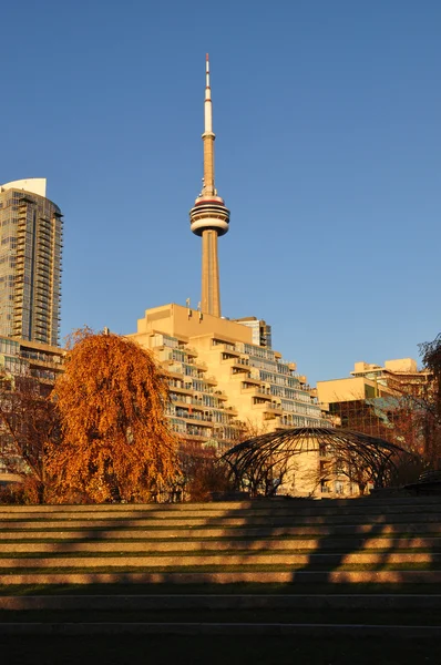 Park w Toronto — Zdjęcie stockowe