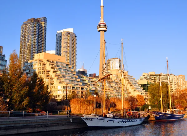 The view of canadian city in sunny evening Stock Picture