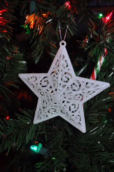 Beyaz Noel yıldızı — Stok fotoğraf