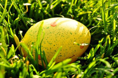 Yellow Easter egg in spring grass clipart