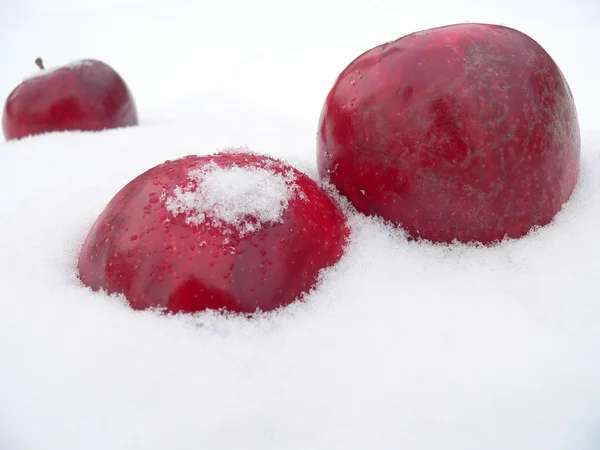 stock image Apples on snow