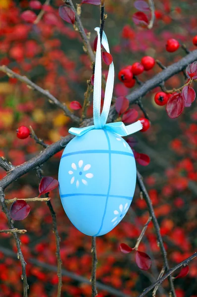 Blue easter egg and red berrys — Stock Photo, Image