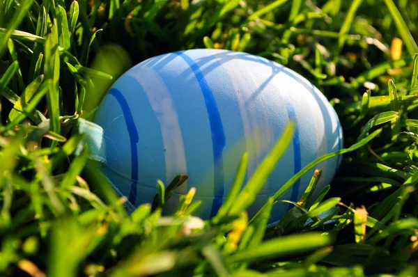 stock image Easter egg in spring grass