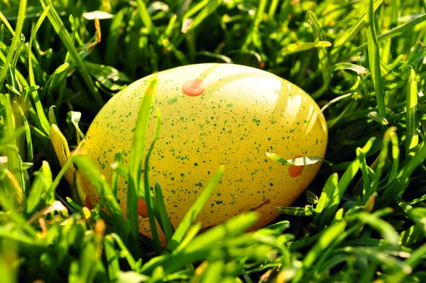 Yellow Easter egg in spring grass — Stock Photo, Image