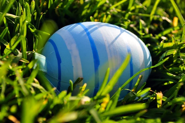 Easter egg in spring grass Royalty Free Stock Images