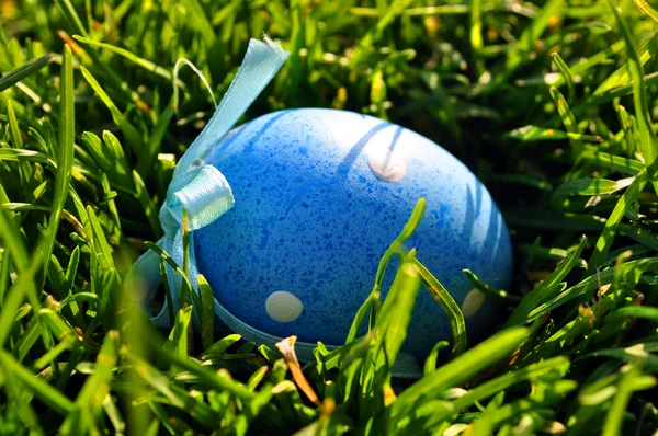 봄 잔디의 파란색 부활절 달걀 들 스톡 사진