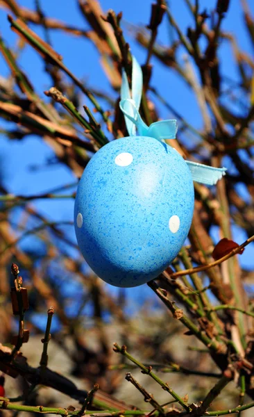 Blue Easter egg on the sky background — Stock Photo, Image