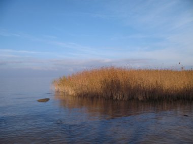 paisaje del mar. pacificación.