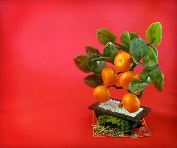 Sfondo con albero di mandarino orientale — Foto Stock