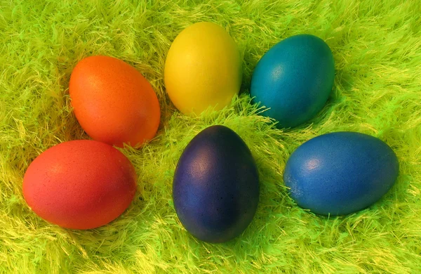 stock image Six easter eggs on green shaggy carpet