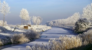 Gorgeous winter landscape clipart