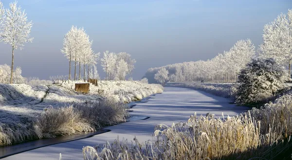 Gorgeous winter landscape — Stock Photo, Image