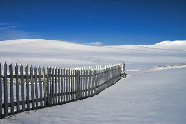 stock image Snowlandscape with a fence