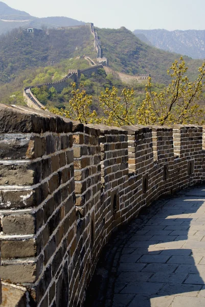The great wall in china — Stock Photo, Image