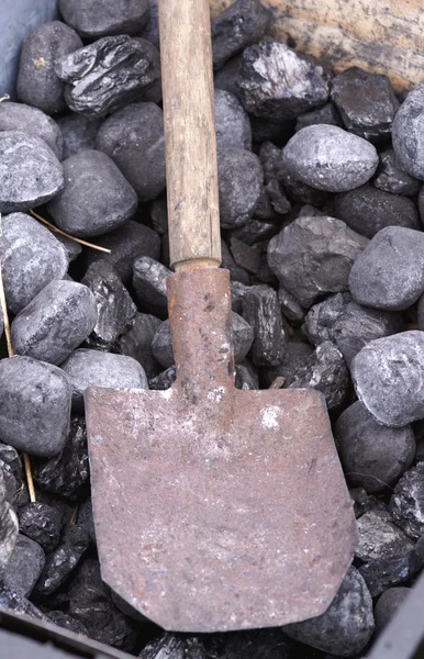 stock image Shovel