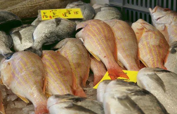 Продажа свежей рыбы — стоковое фото