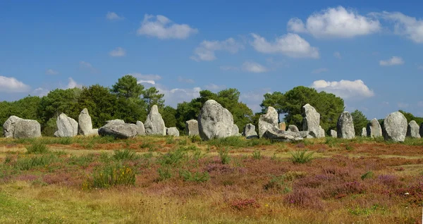 stock image Menhir at carnac