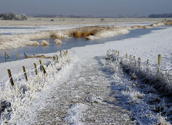 Stock image Road to the river in wintertime