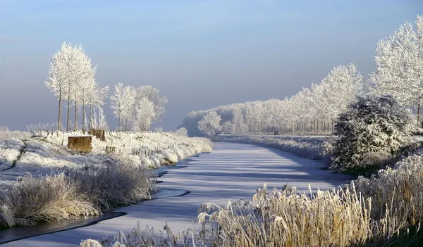 Gorgeous winter landscape — Stock Photo, Image