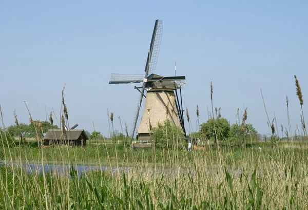 Вітряні млини Нідердейк в Голландії — стокове фото