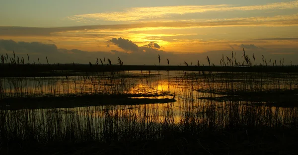 Belo pôr do sol junto ao lago — Fotografia de Stock