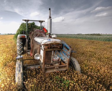 Traktör tarım arazileri üzerinde HDR görüntüsü