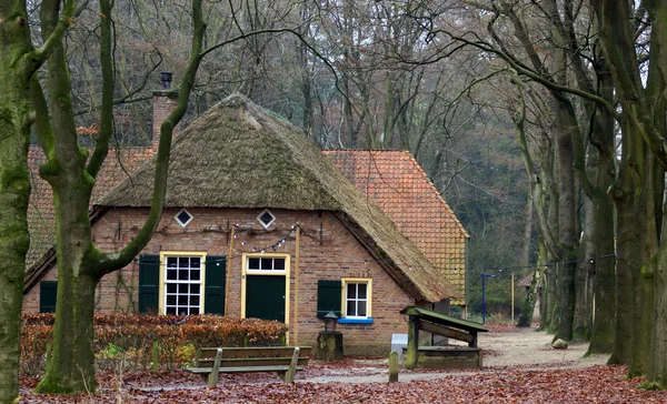 Farmhouse on the countryside — Stock Photo, Image
