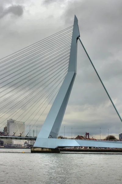 stock image Erasmusbridge Rotterdam, The Netherland