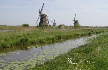 doğal holland değirmen