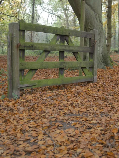 フェンスのある秋の風景 — ストック写真