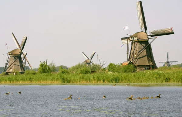 Väderkvarn i Kinderdijk — Stockfoto
