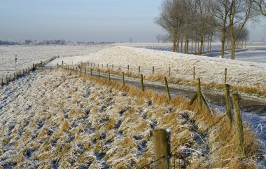 Beautiful winter countryside holland clipart