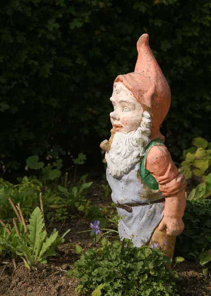 Карлик / gnome — стокове фото