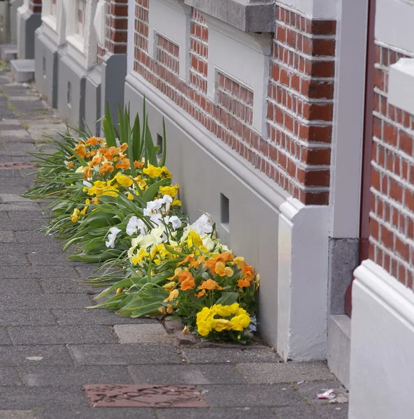 Blumenbeet vor einem Haus — Stockfoto